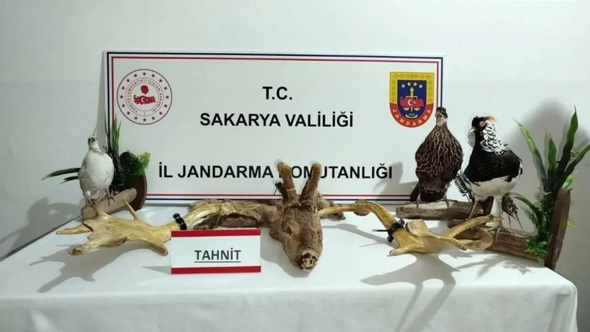 Ev değil sanki hayvanat bahçesi! Kuğu, Kral Sülün, Tavus Kuşu, Emu…